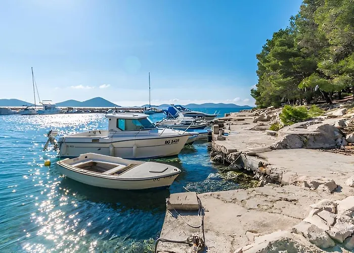 Family-friendly With Swimming Pool Drage, Biograd - 23790